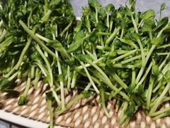 -樱煦和牛寿喜烧(如皋吾悦广场店)