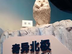 -陕西自然博物馆