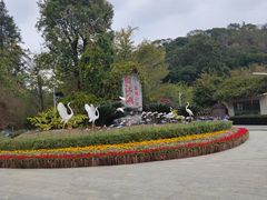 -广州白江湖森林公园