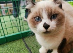 -萌宠亲子动物乐园(槐房万达店)