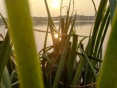 -美兰湖景区