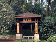 -灵谷景区