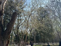 -金城公园
