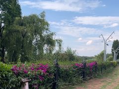 -海埂大坝