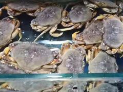-东江海鲜酒家(艺都分店)