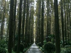 -上海怡沁园度假酒店