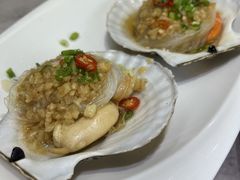 -小海丁
