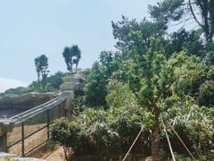 -宁波野生动物园