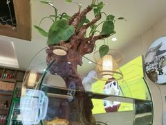 -肘子酥·天津菜·特色捞面(德云社店)