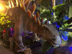 -恐龙探索乐园(磁器口店)