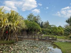 -中国科学院西双版纳热带植物园