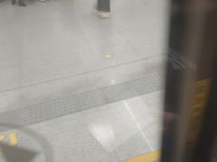 -留仙洞(地铁站)