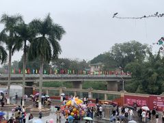 -东兴口岸-中越友谊大桥