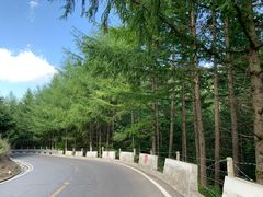 -秦岭风景区