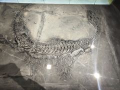 -大同煤炭博物馆