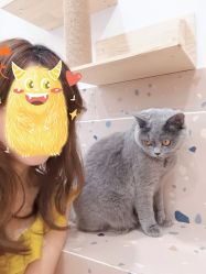 -Moni星球萌宠·小马宝莉·灵蛇·高端高阶全萌宠互动体验俱乐部(红豆国际广场店)