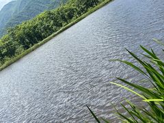 -大九湖
