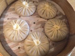 -庆春朴门