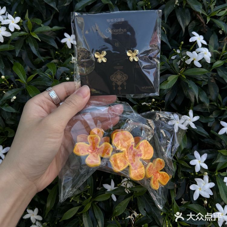 东莞的！！新开的！！爷爷不泡茶！他来了