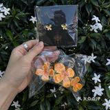 东莞的！！新开的！！爷爷不泡茶！他来了