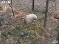 -北京麋鹿生态实验中心