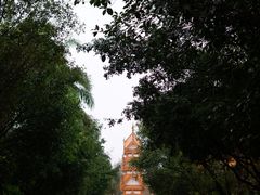 -云南勐巴娜西珍奇园