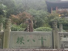 -十八棵（老龙井）御茶园(老龙井店)