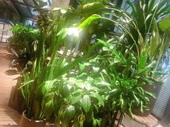 -大树餐厅(红旗街万达店)