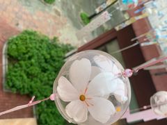 -重庆南山海昌汤都