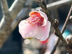 -常来小聚·广州非遗传承餐厅(中山二路店)