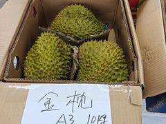 -海吉星市场