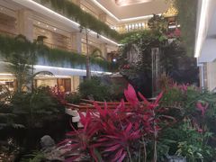 -广州白天鹅宾馆