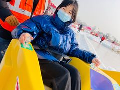 -绿野森林乐园冰雪季