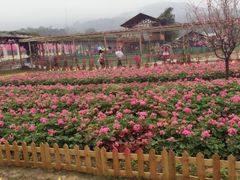 -盈香心动乐园