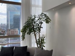 -JNK皮肤管理中心