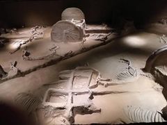 -洛阳周王城天子驾六博物馆