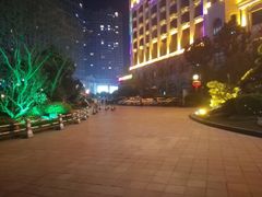 酒店外围灯光-碧桂园凤凰城酒店(南京店)