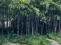 -杭州黄龙洞