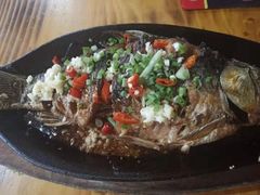 -老黑板筋(顺义总店)