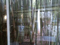 iphone_upload_pic-新竹里馆·花园餐厅(兴苑路店)