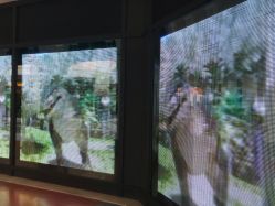 -奇幻丛林(佛罗伦萨小镇店)