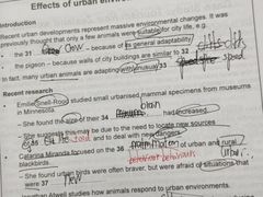 -新航道雅思托福·留学·考研培训(人民广场校区)