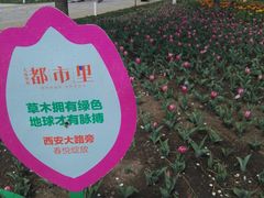 -长春公园(普阳街道)