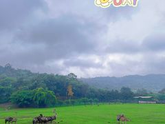 -乐和乐都主题乐园