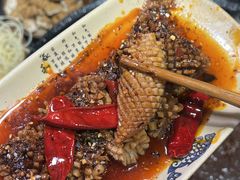 -胖碗火锅(观音桥店)