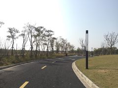 -春花秋色城市公园