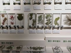 -中国湿地博物馆