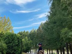 -羊亭河湿地公园