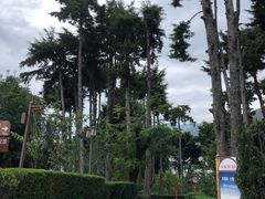 -南诏风情岛