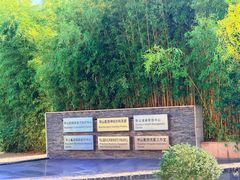 -复旦大学附属华山医院(浦东院区)